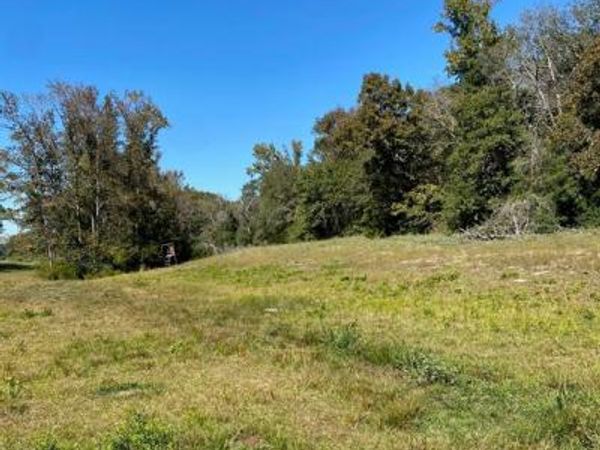 TBD 008 County Rd 242, Oakwood, TX 75855