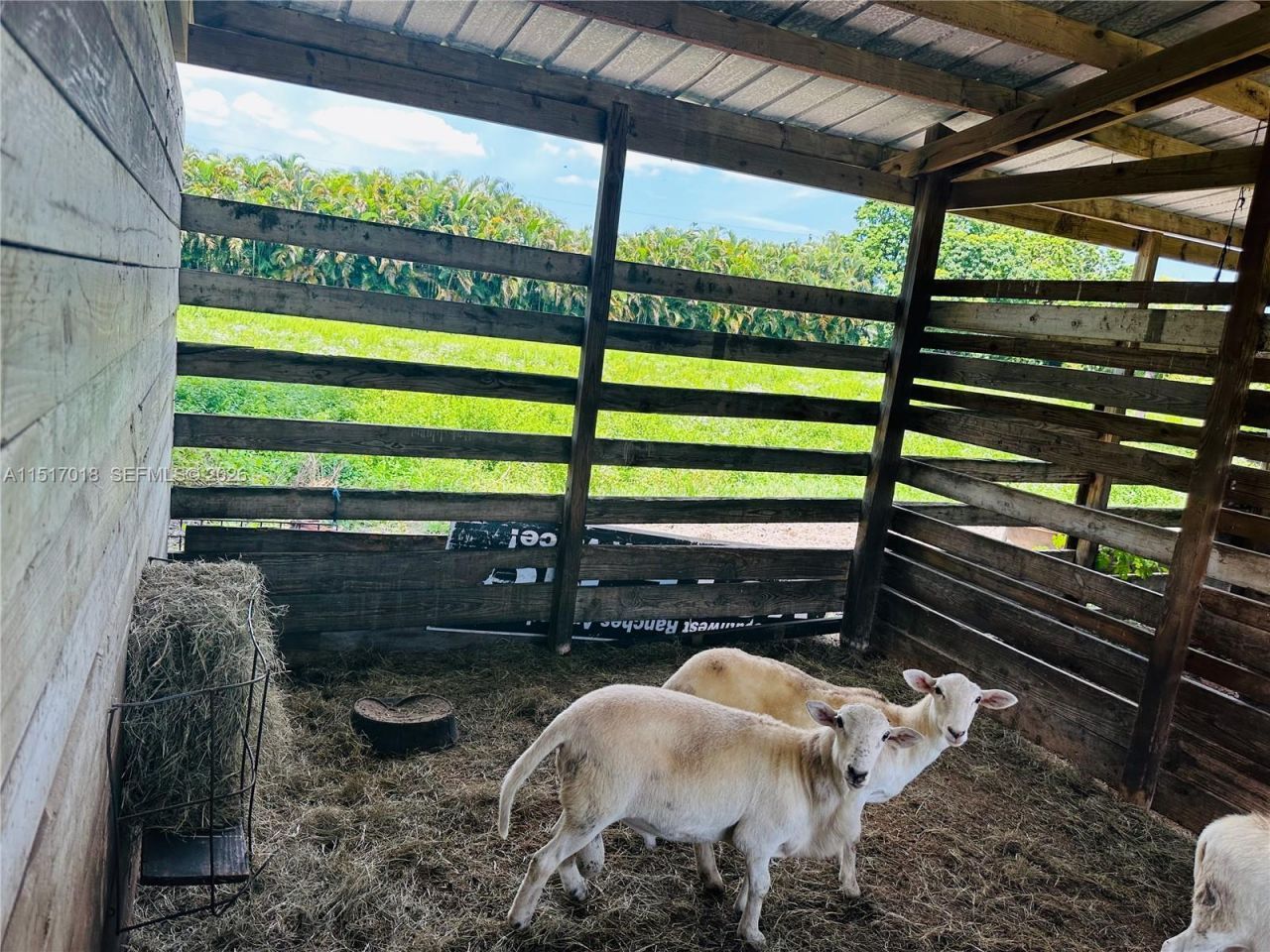 5901 SW 160th Ave, Southwest Ranches, FL 33331 Photo