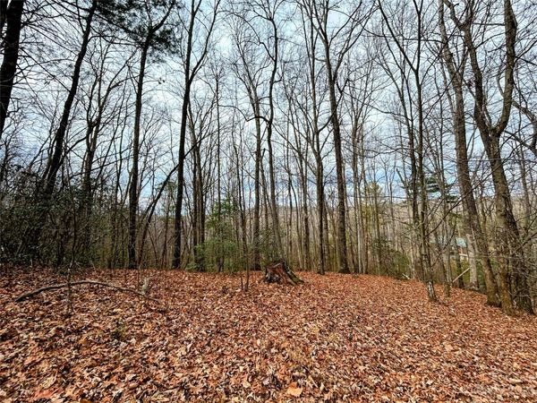 Lot 11 Rhododendron Drive, Saluda, NC 28773
