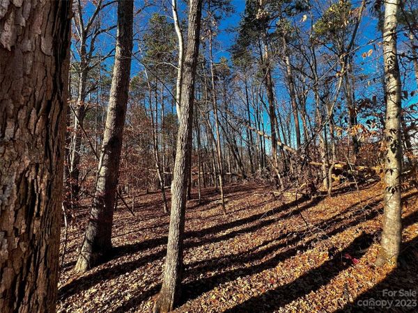 138 Copper Pine Lane, Davidson, NC 28036