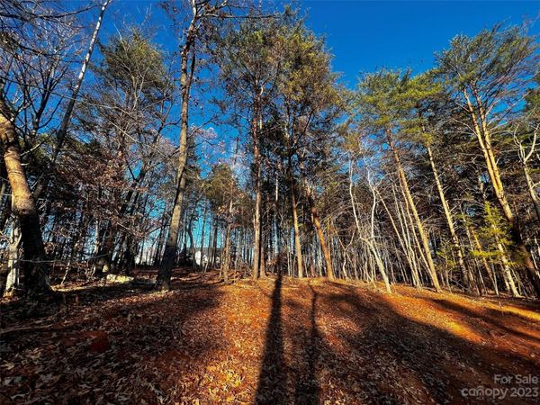 127 Hunt Camp Trail, Davidson, NC 28036