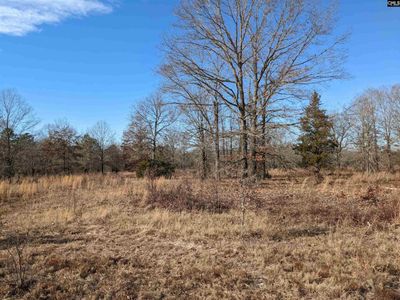 378 Hound Hollow Road, Camden, SC 29020