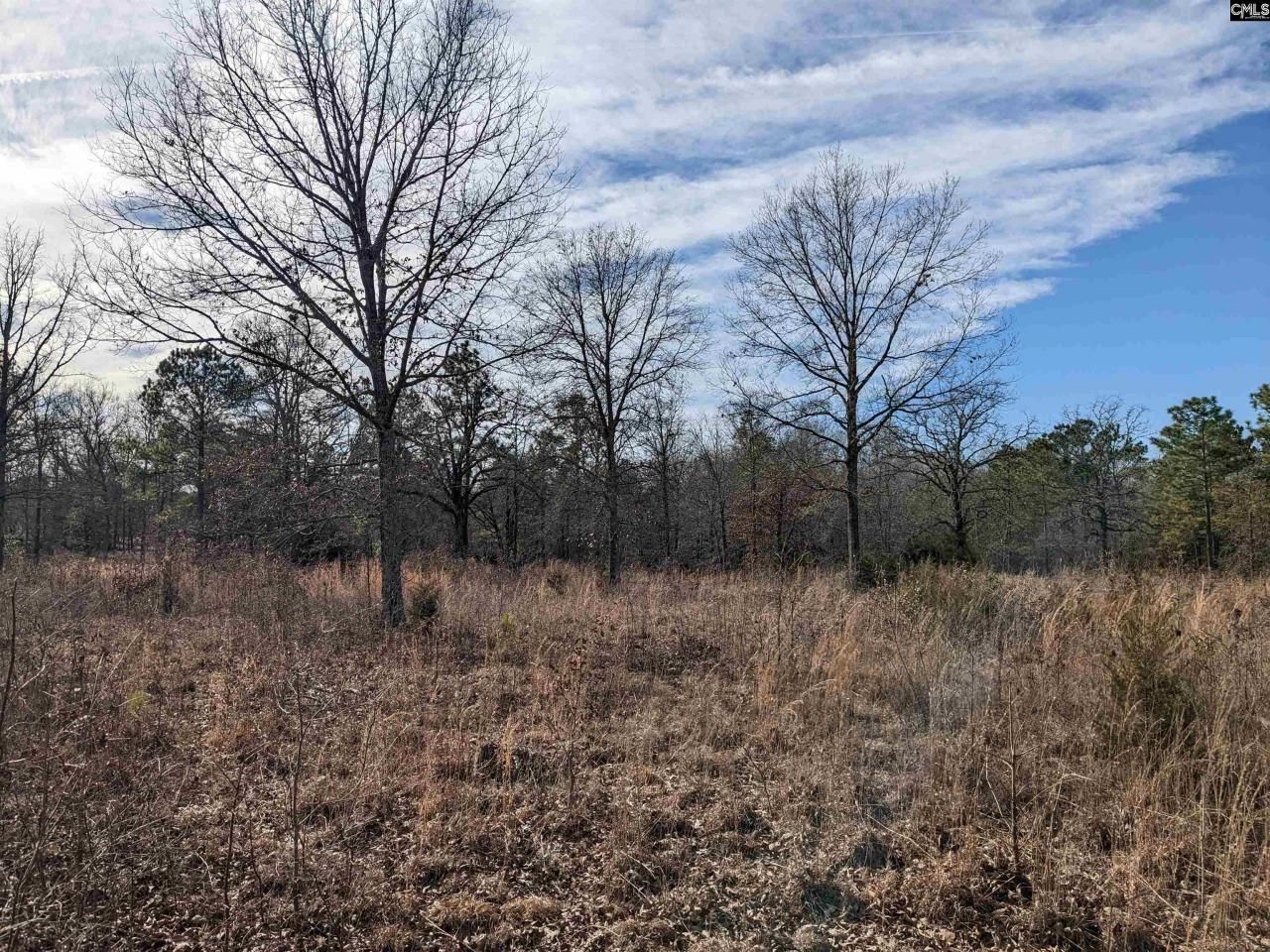 378 Hound Hollow Road Photo 10