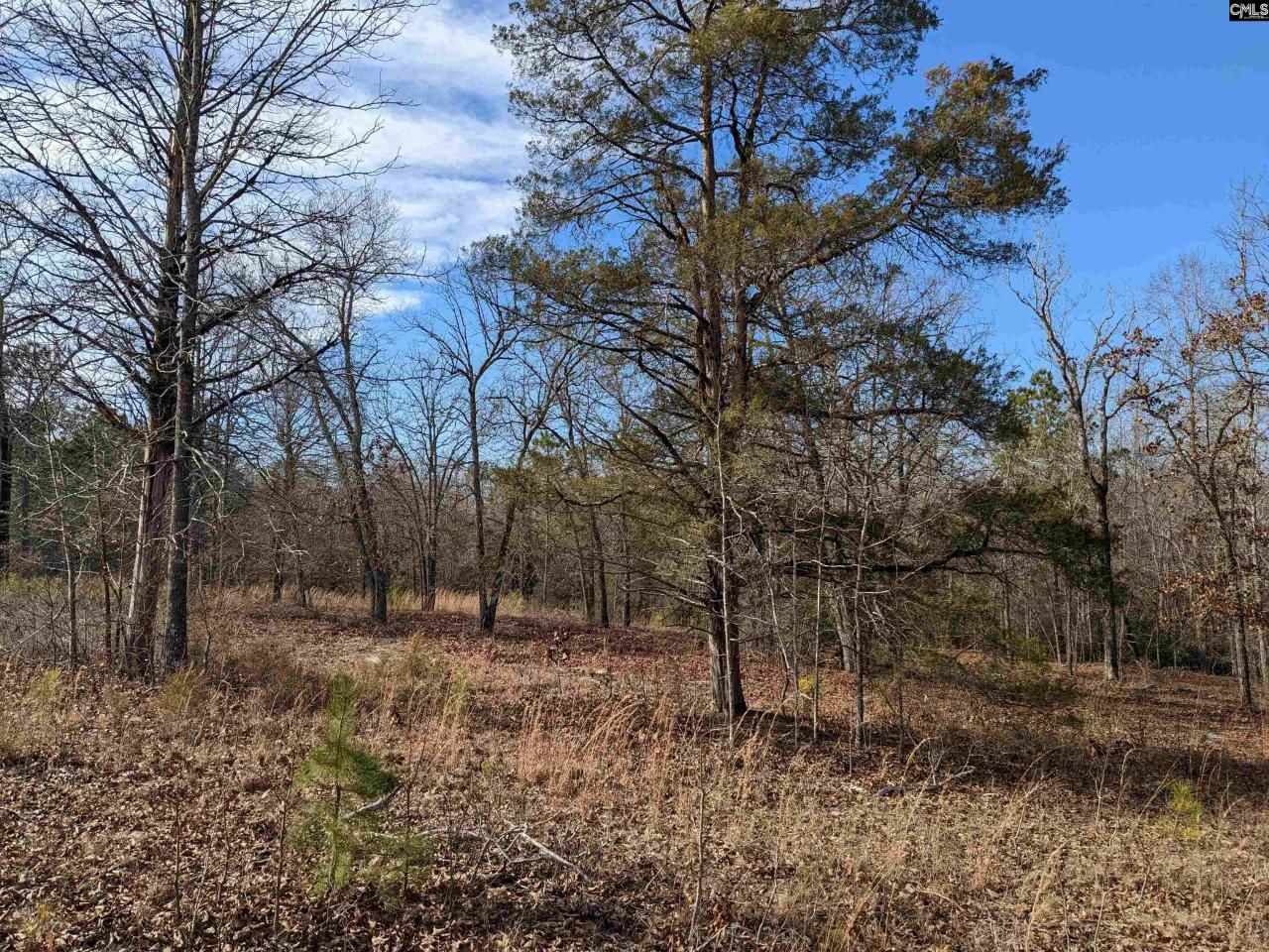 378 Hound Hollow Road Photo 11