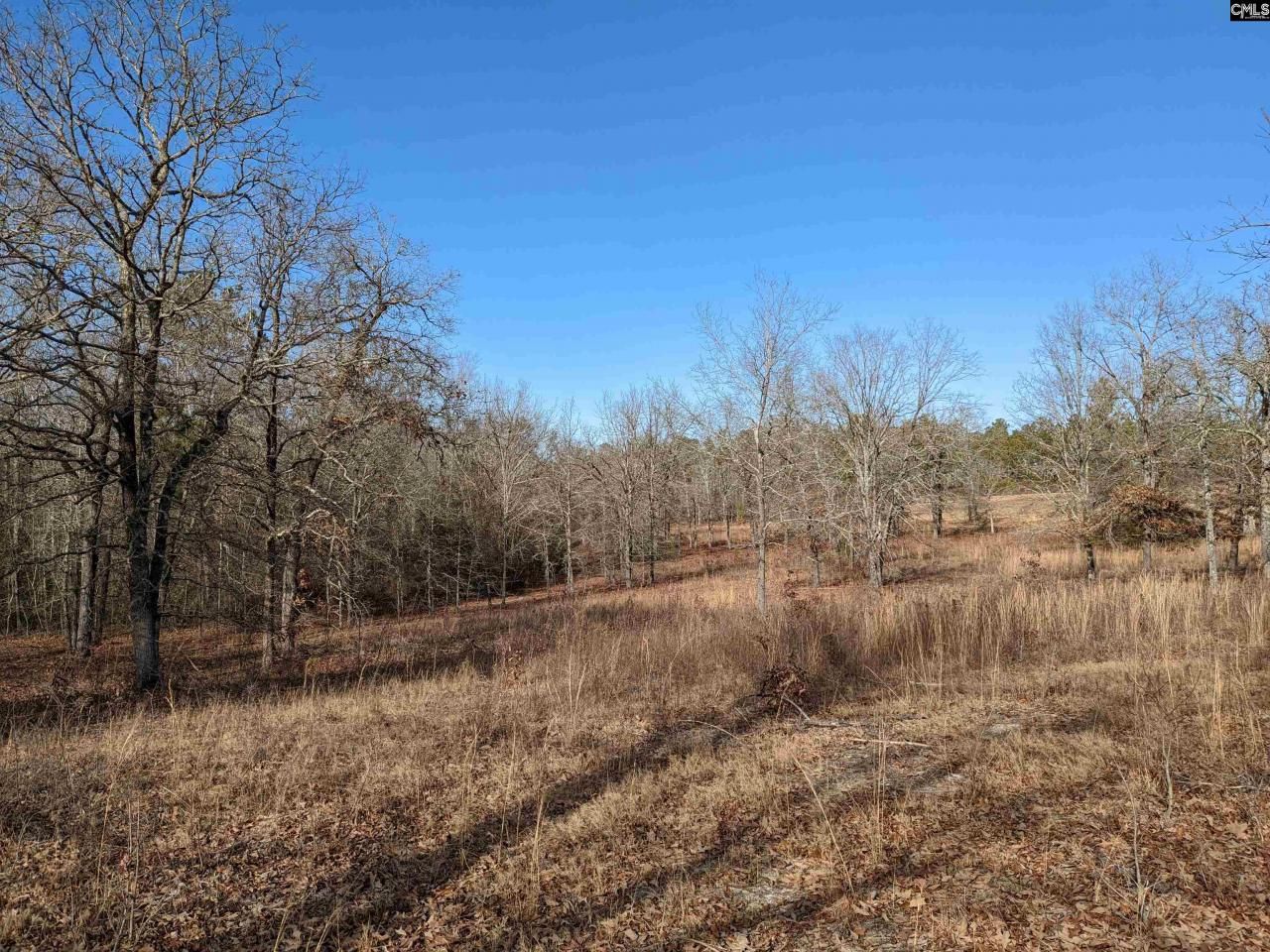 378 Hound Hollow Road Photo 12