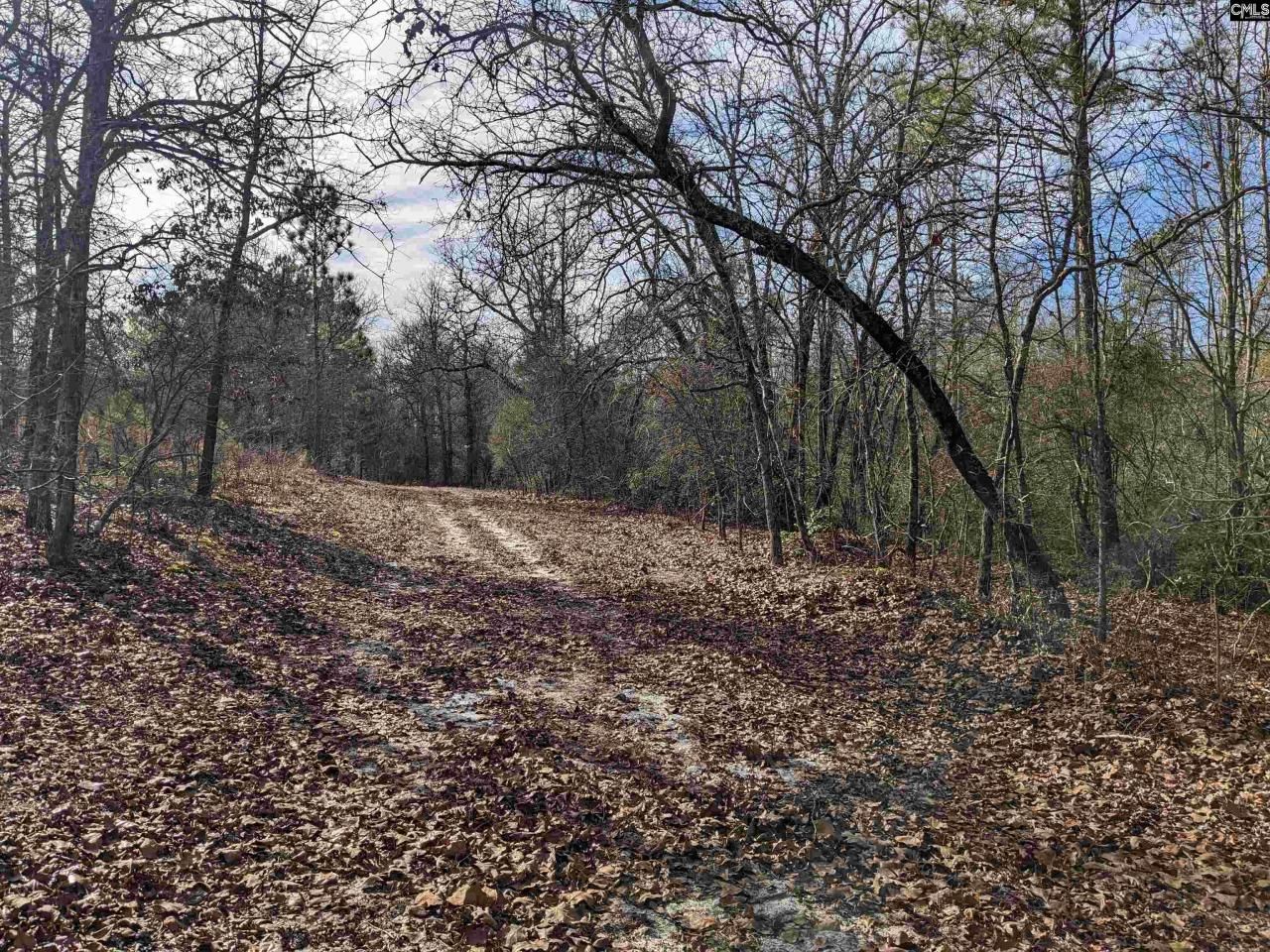 378 Hound Hollow Road Photo 13