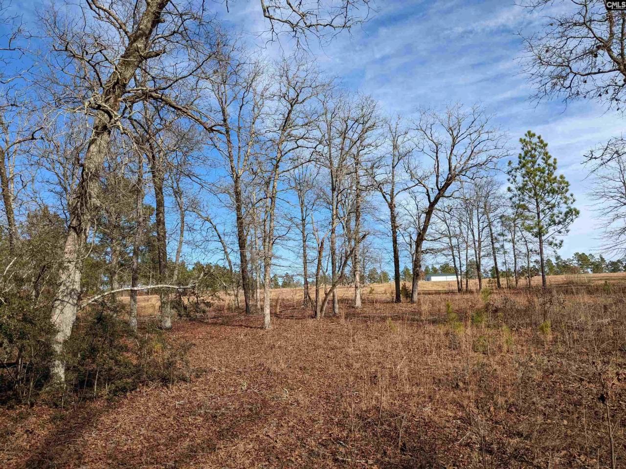 378 Hound Hollow Road Photo 15