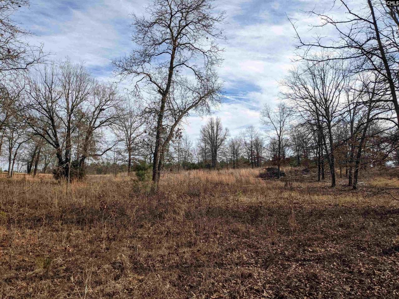 378 Hound Hollow Road Photo 16