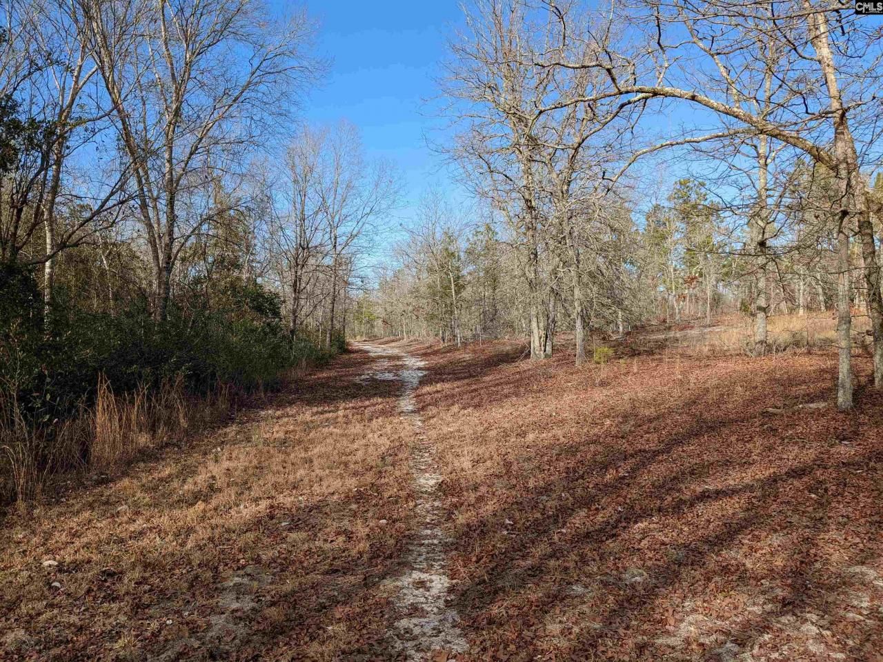 378 Hound Hollow Road Photo 17