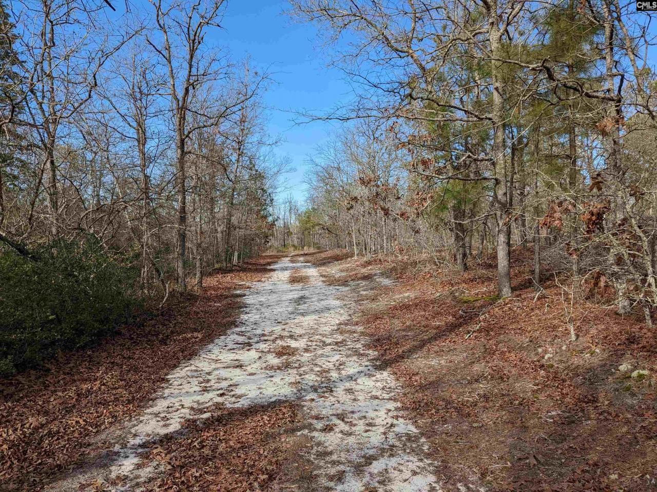 378 Hound Hollow Road Photo 18