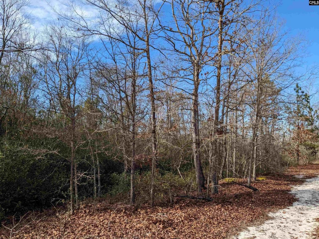 378 Hound Hollow Road Photo 19