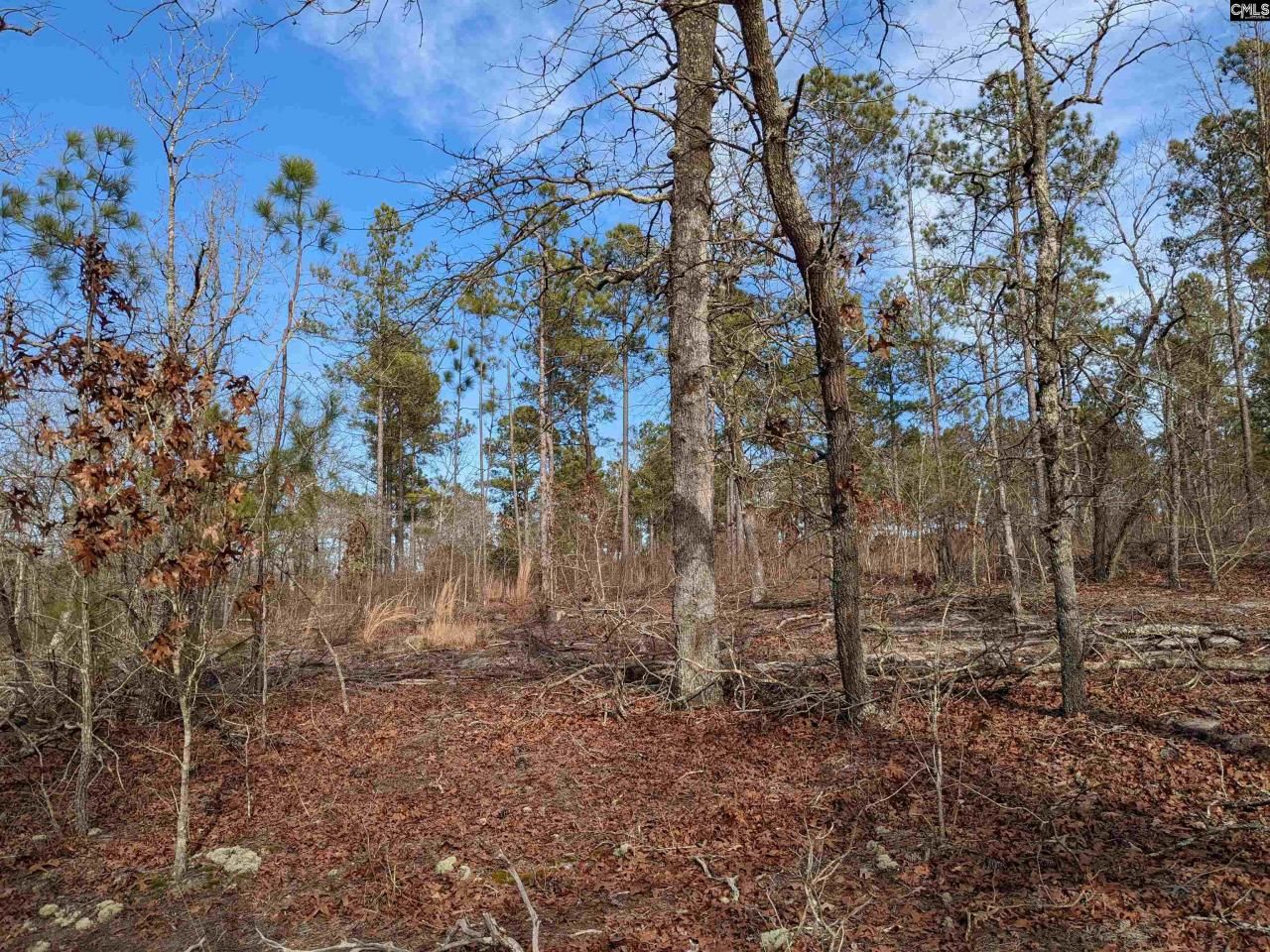 378 Hound Hollow Road Photo 20