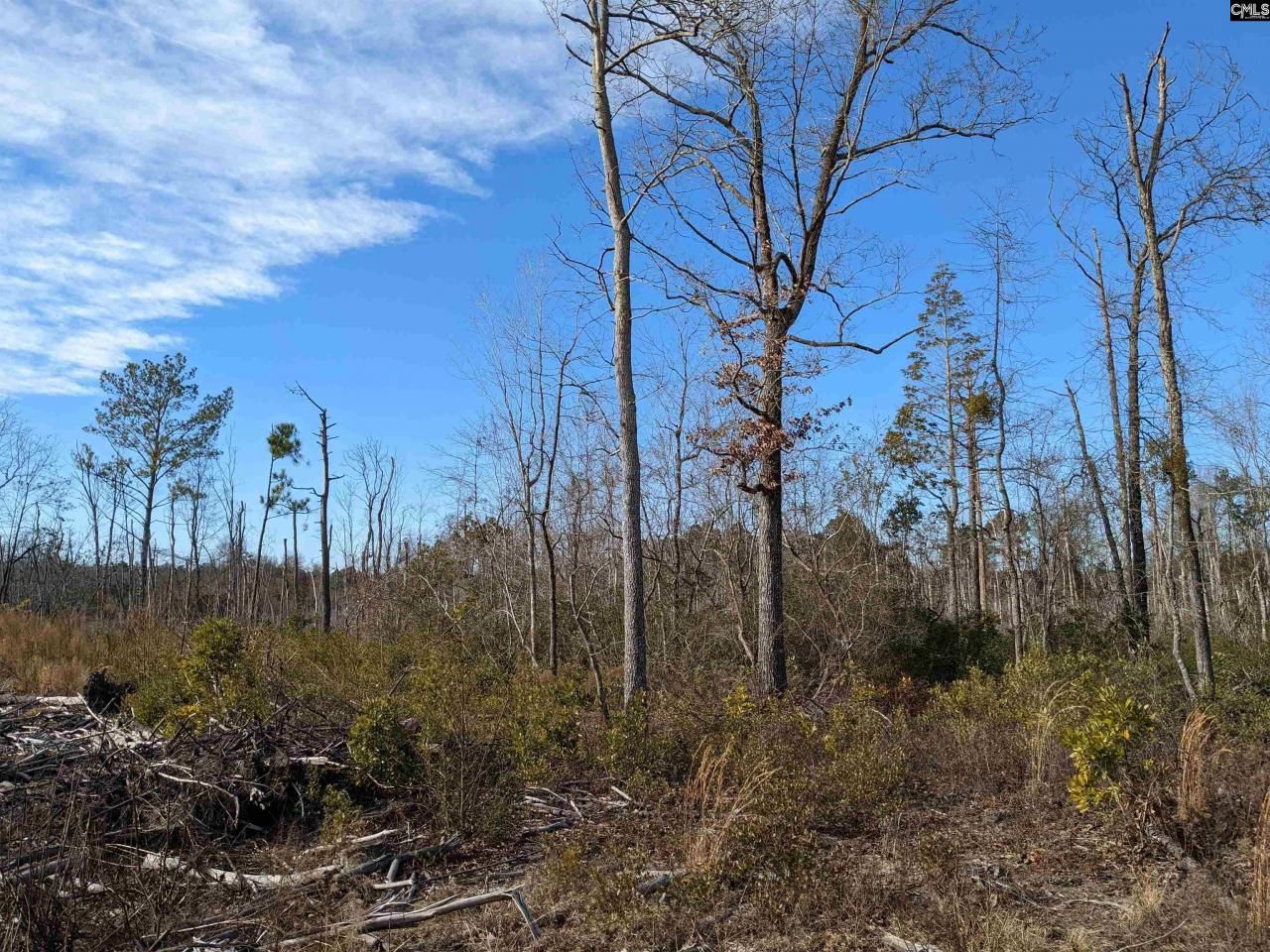 378 Hound Hollow Road Photo 21