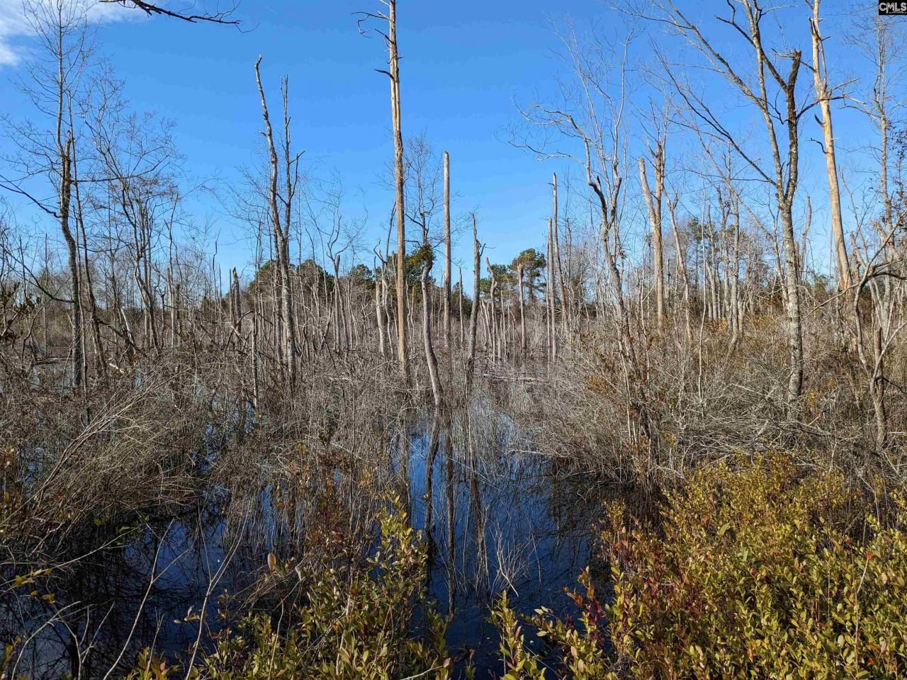 378 Hound Hollow Road Photo 22