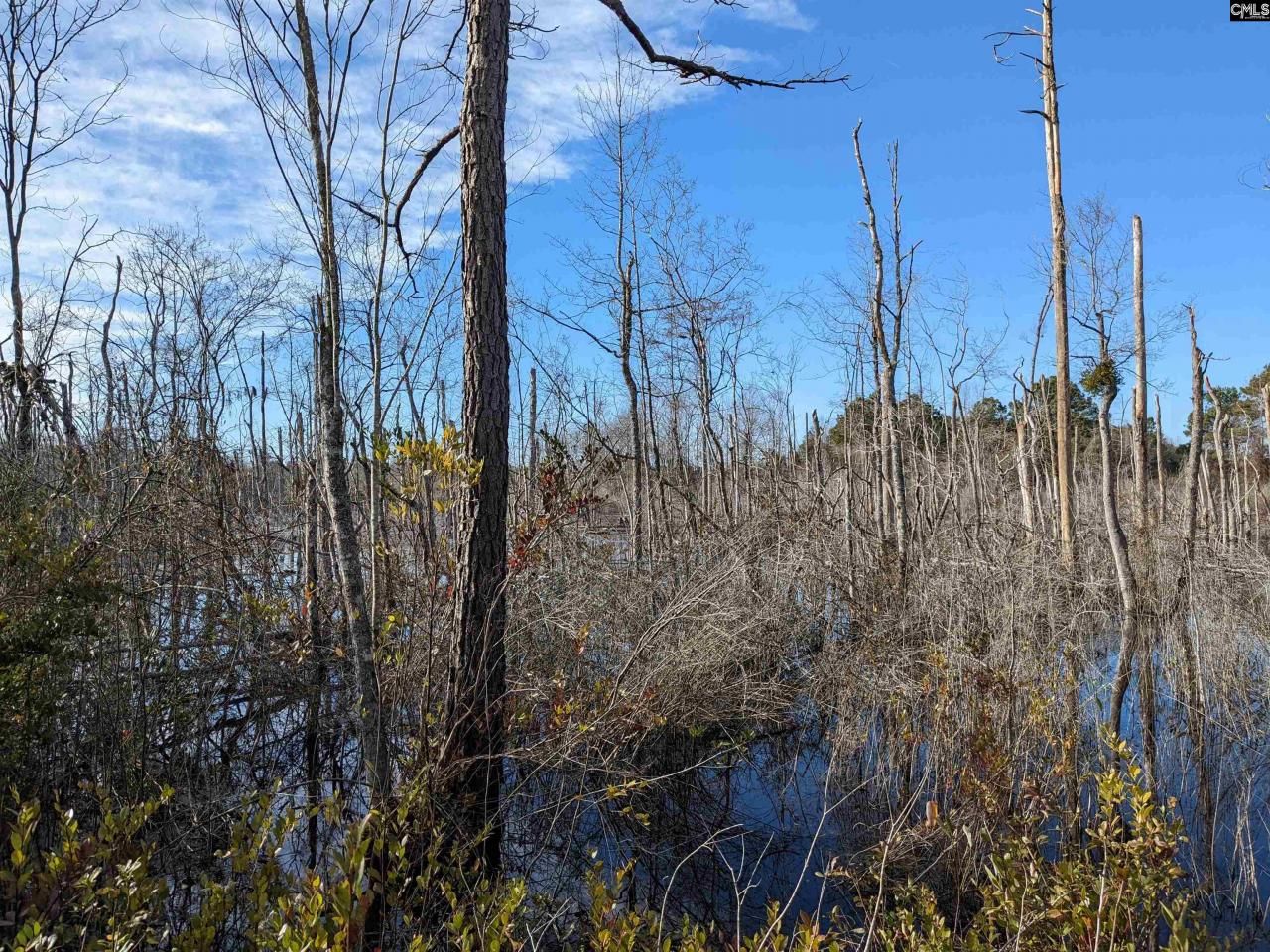 378 Hound Hollow Road Photo 23