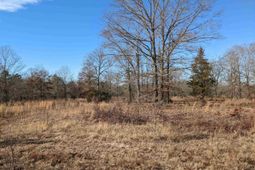 378 Hound Hollow Road photo 4