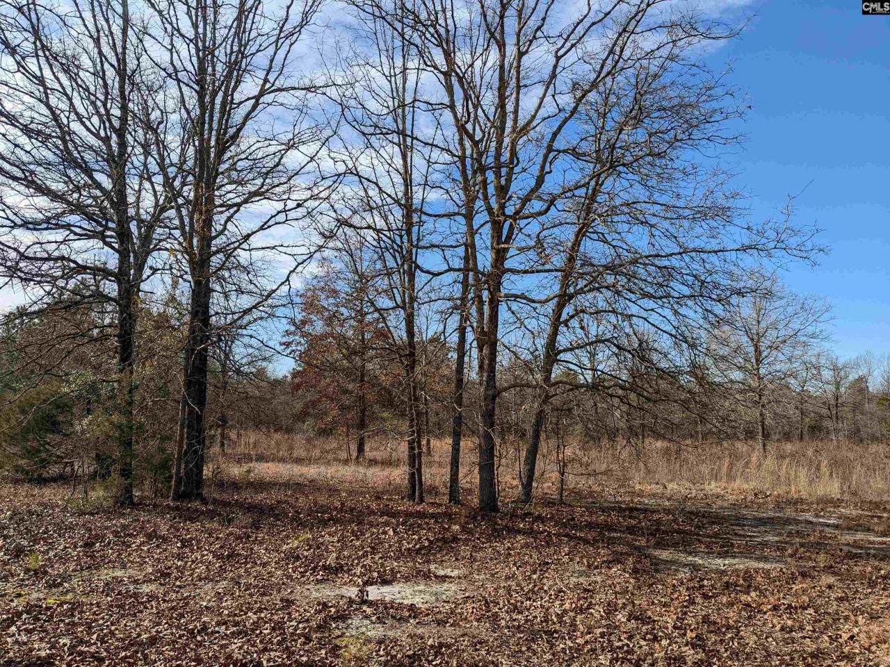 378 Hound Hollow Road Photo 5