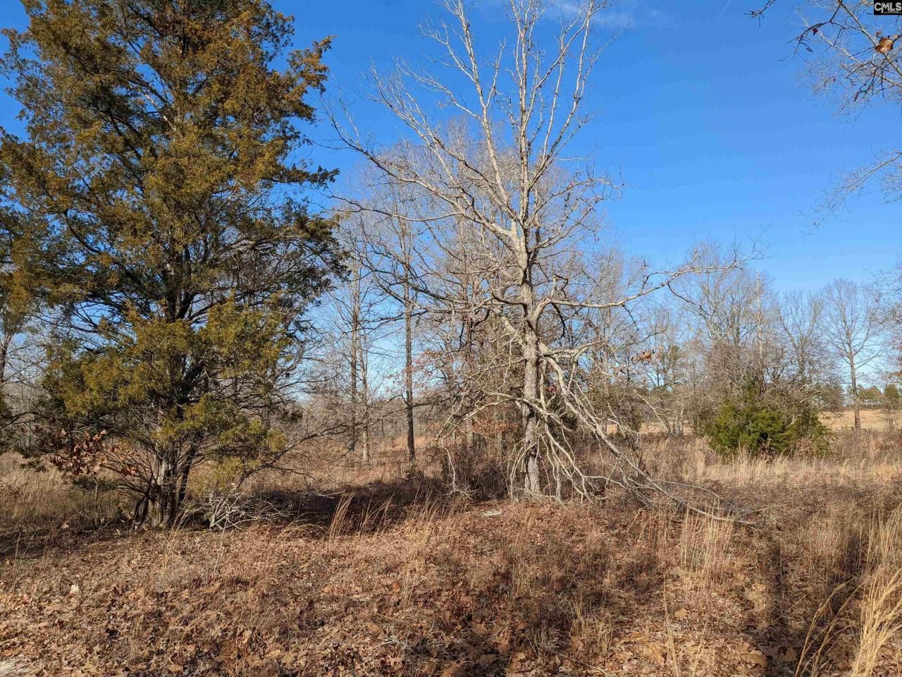 378 Hound Hollow Road Photo 6