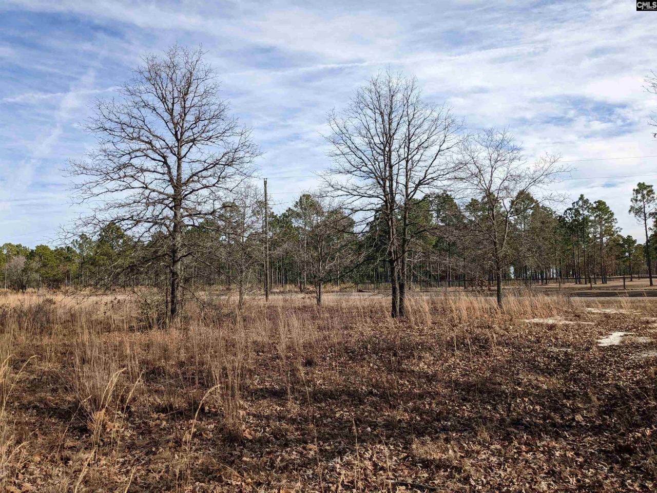 378 Hound Hollow Road Photo 7