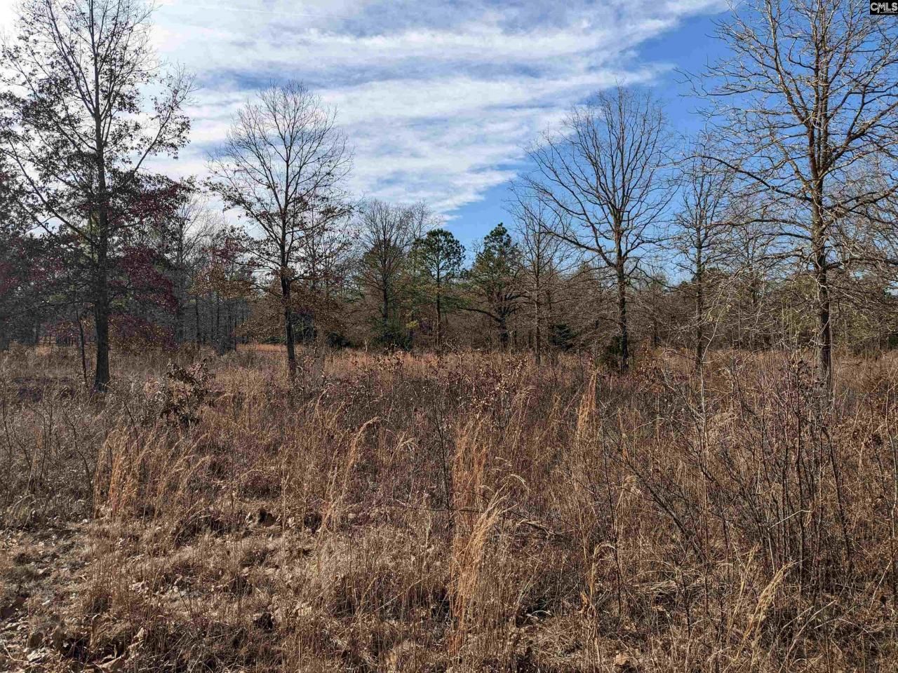 378 Hound Hollow Road Photo 8