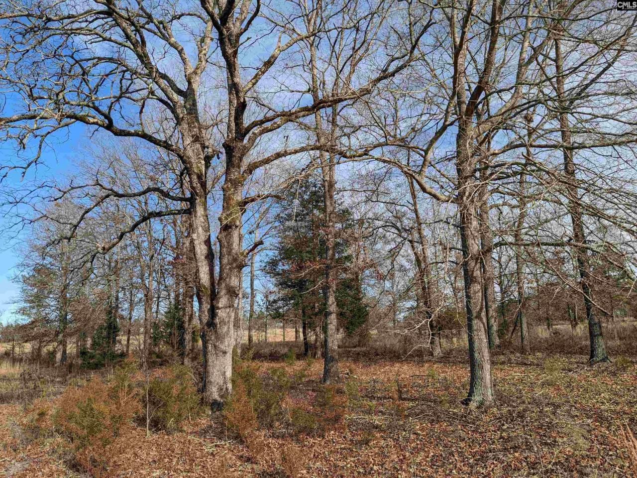 378 Hound Hollow Road Photo 9