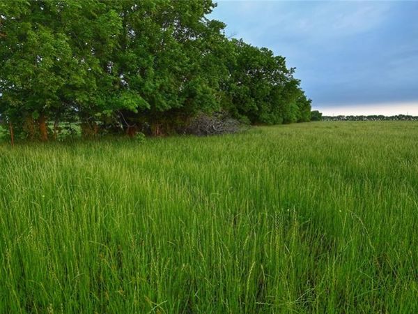 TBD FM 1752 Road, Whitewright, TX 75491