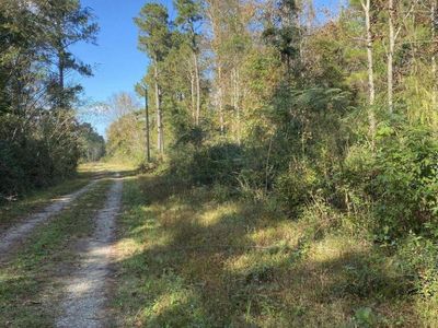 0 Lawyer Lane, Cross, SC 29436