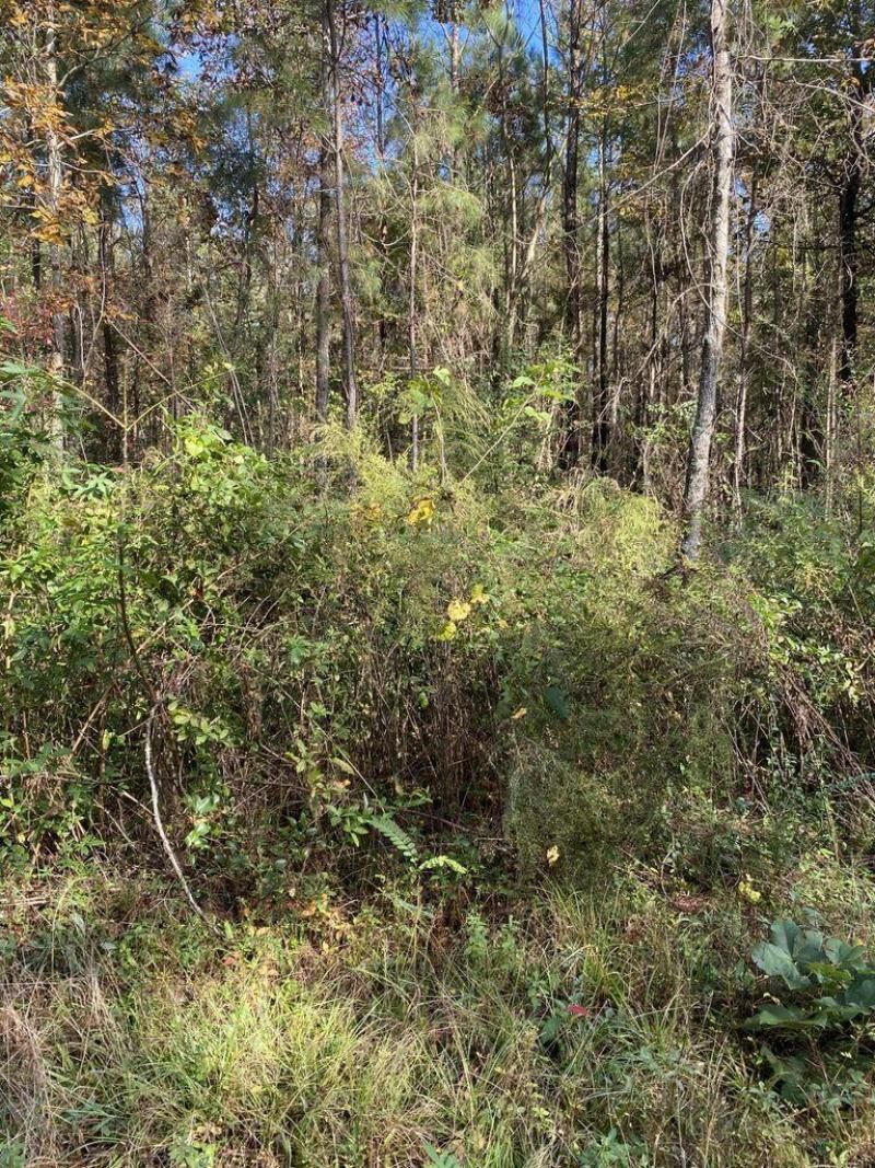 0 Lawyer Lane Photo 3