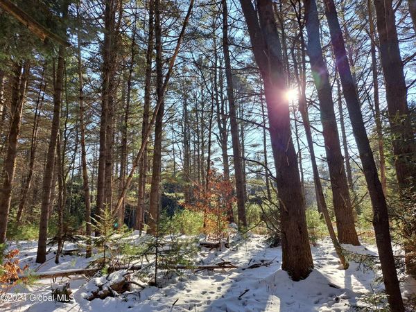 L17 Rice Road, Northville, NY 12134