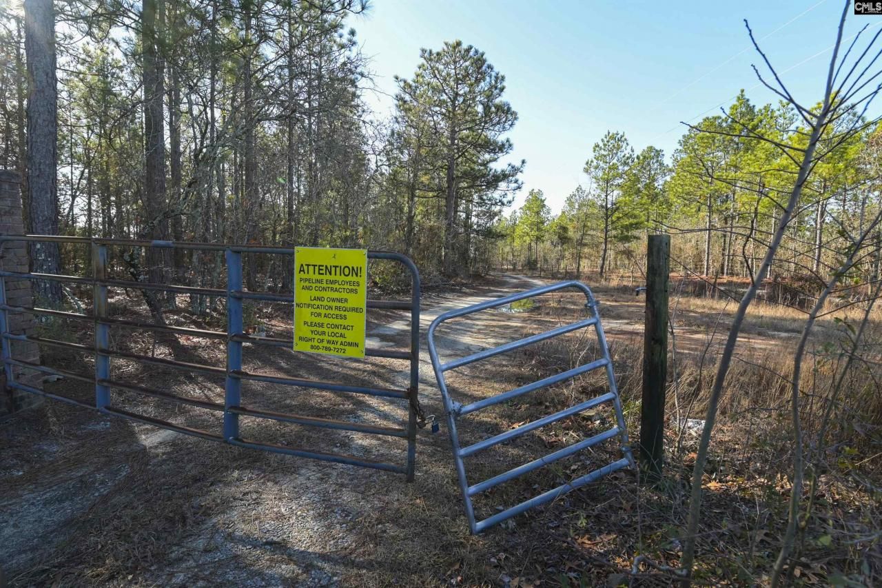 1446 Mack Street Photo 16