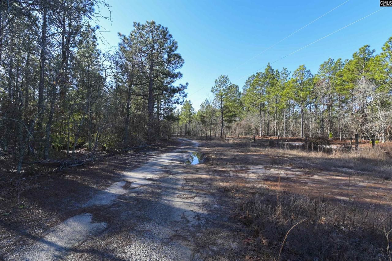 1446 Mack Street Photo 17