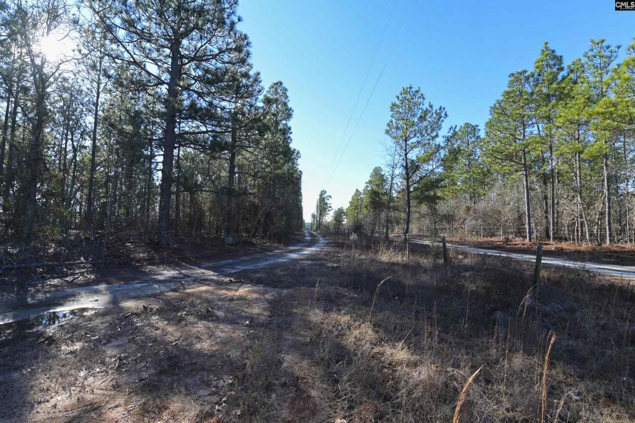 1446 Mack Street Photo 18