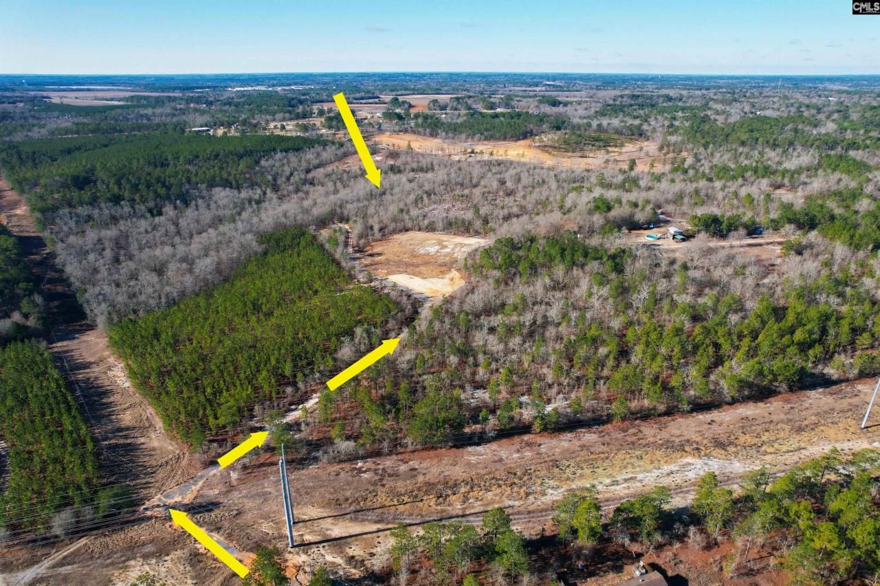 1446 Mack Street Photo 6