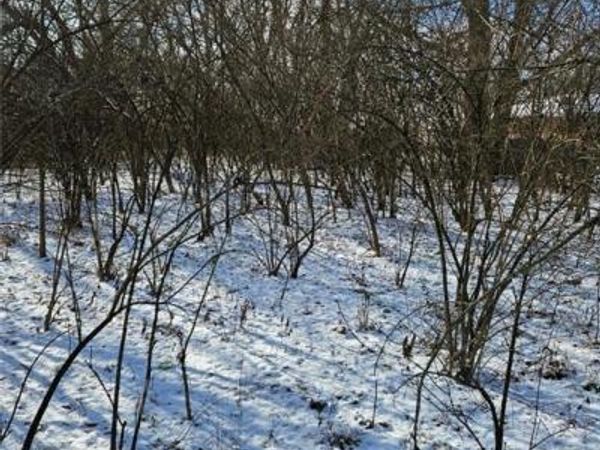 0 Nicholas Road, Dayton, OH 45481