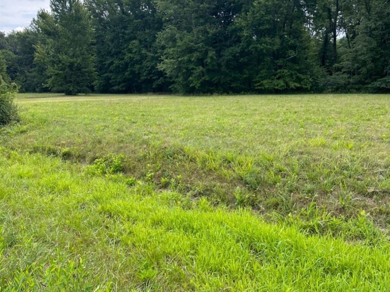 1476 Oder Drive, Fayetteville, OH 45118 Photo 2