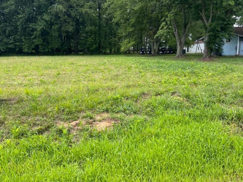 1476 Oder Drive, Fayetteville, OH 45118 Photo 3