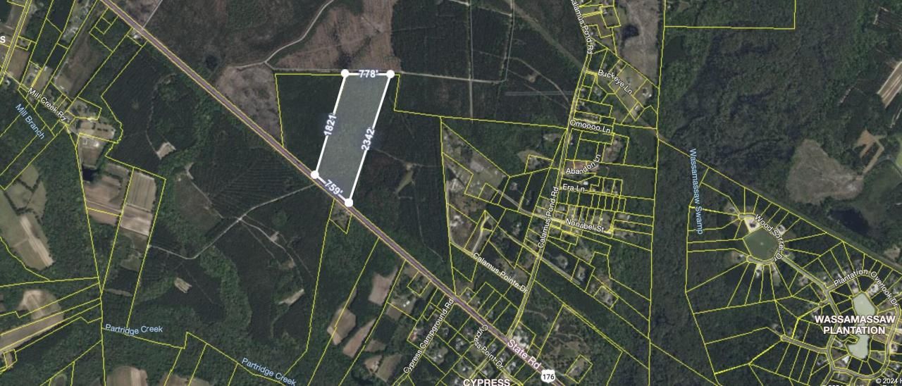 2900 Highway 176 Photo 4