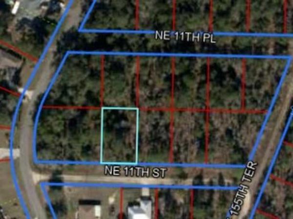 TBD NE 11TH STREET S, WILLISTON, FL 32696