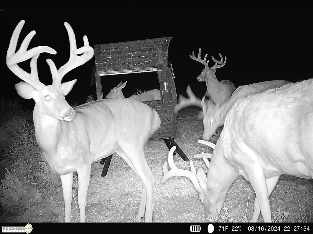 Mile 51 Road, Hooker, OK 73945 Main Photo