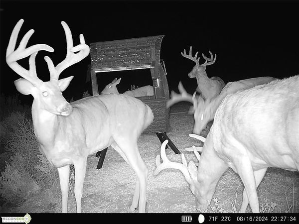 Mile 51 Road, Hooker, OK 73945