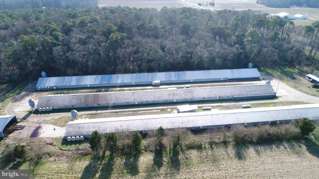 6425 Eldorado Road, Federalsburg, MD 21632 Main Photo