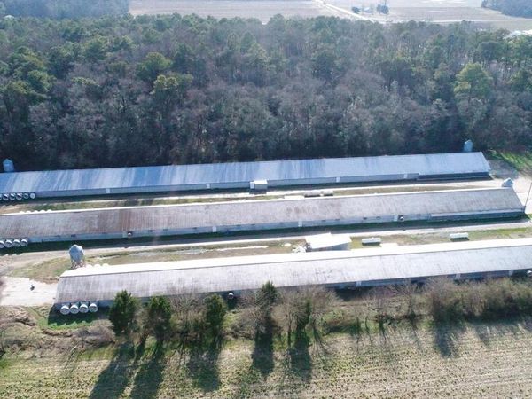 6425 ELDORADO ROAD, FEDERALSBURG, MD 21632