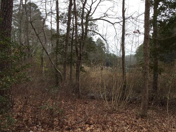 Lot 36 Hall Farm Drive, WICOMICO CHURCH, VA 22579