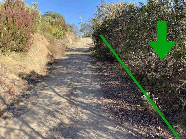 13723 Pauma Vista Dr, Valley Center, CA 92082