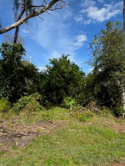 Cedar Avenue, Englewood, FL 34223 Photo