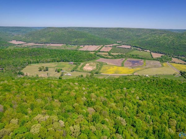 4400 County Road 39, Fackler, AL 35752