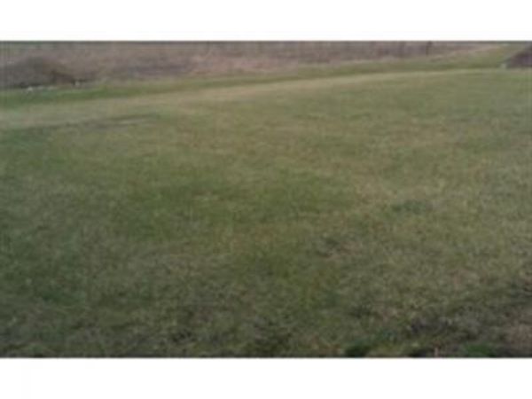 28 LIMERICK DR , Onsted, MI 49265