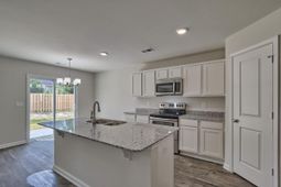 427 Olive Grouse Lane photo 4