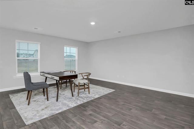 423 Olive Grouse Lane Photo 11