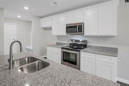 423 Olive Grouse Lane photo 4